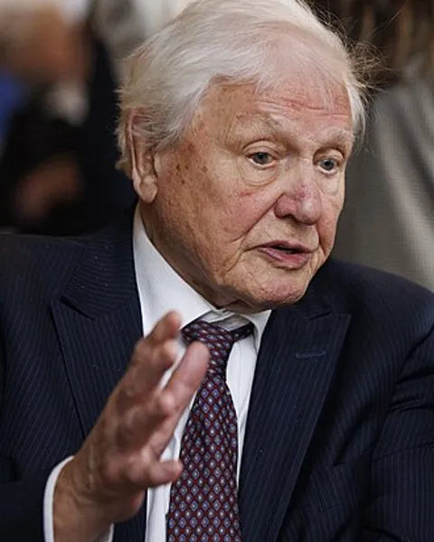 Portrait of David Attenborough