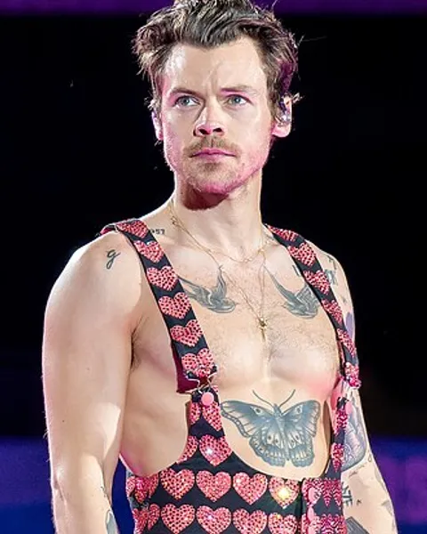 Portrait of Harry Styles