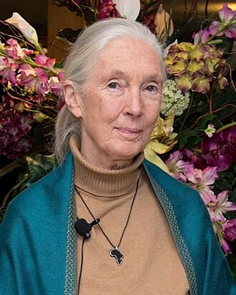 Portrait of Jane Goodall