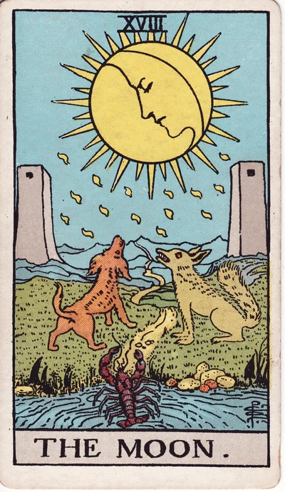 The The Moon tarot card face
